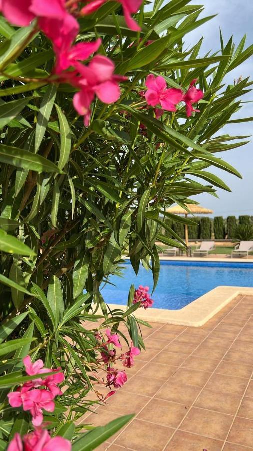 Finca Sol Y Vida - Agroturismo Son Sampoli Hotel Llucmajor  Luaran gambar