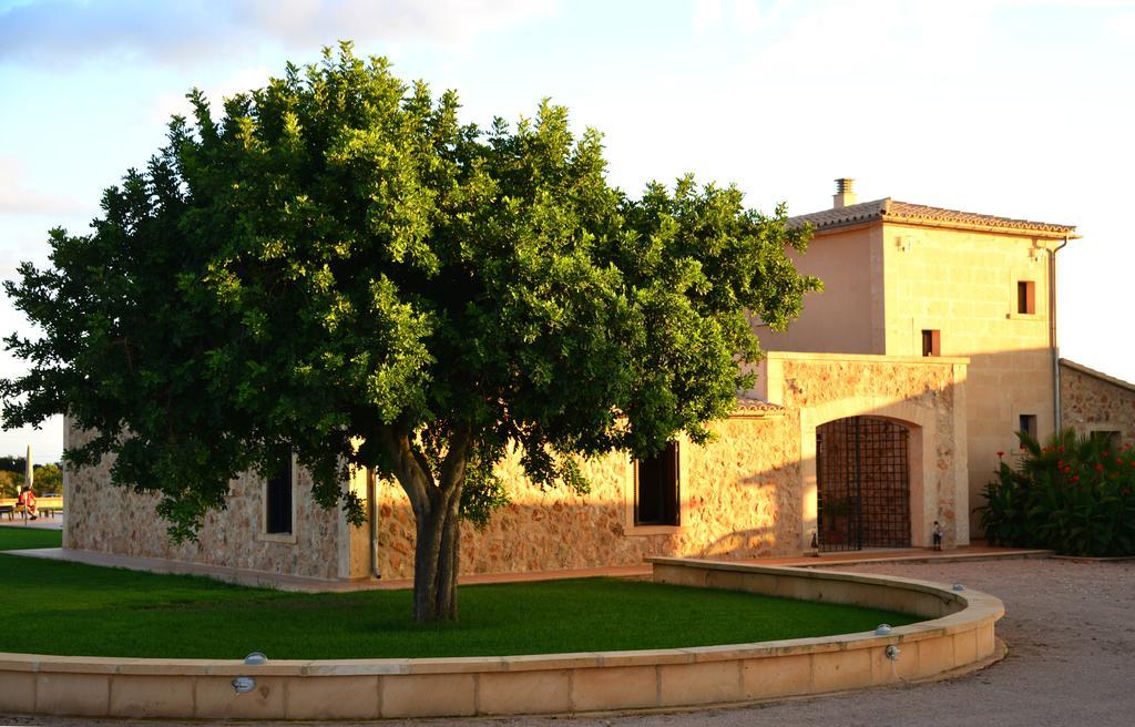 Finca Sol Y Vida - Agroturismo Son Sampoli Hotel Llucmajor  Luaran gambar